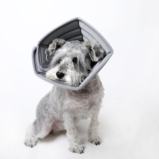 Bozal Suave Anti-mordida Simple Bone para Mascotas