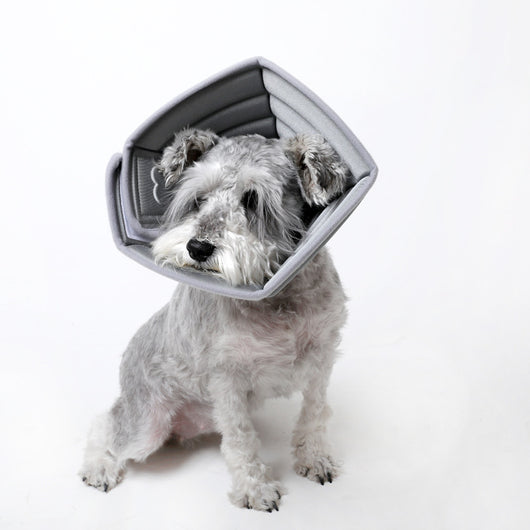 Bozal Suave Anti-mordida Simple Bone para Mascotas
