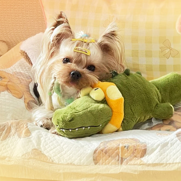 Small dog with hair clips cuddling a green and orange plush alligator toy on a patterned blanket.