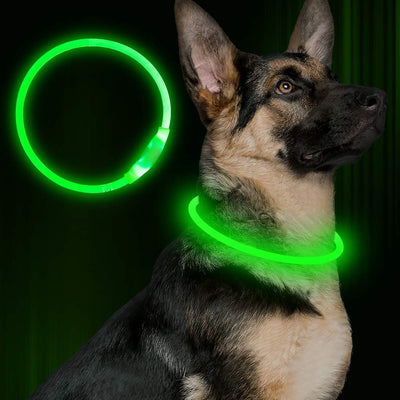 Collar LED Recargable USB para Mascotas - Luz de Seguridad Nocturna para Perros - Image 3