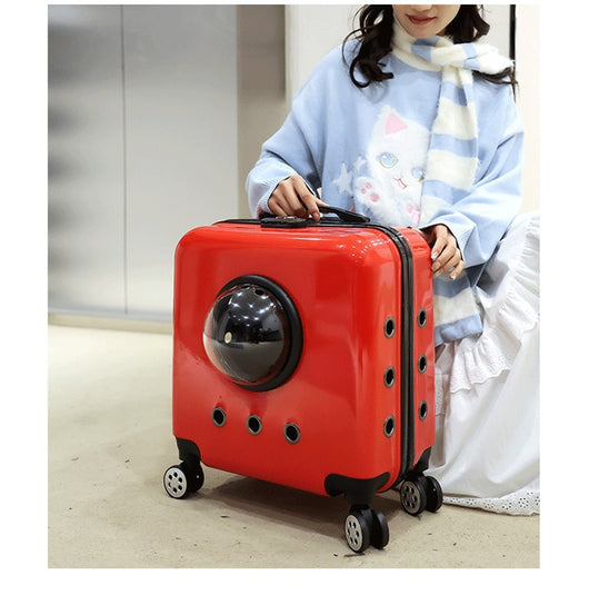 Mochila Transportín Cápsula Espacial para Gatos - Image 30