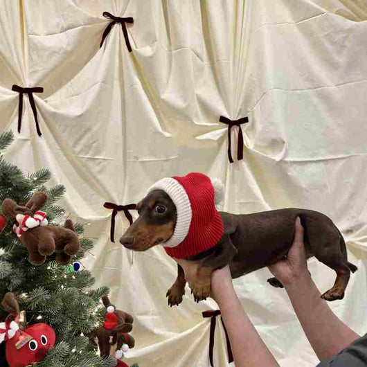 Gorro Cálido de Peluche con Forma de Perro Salchicha para Navidad - Image 8