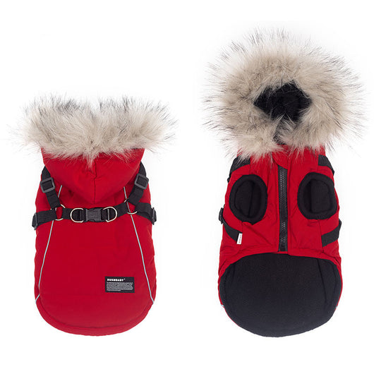 Abrigo de Algodón para Perros Bichon - Ropa de Otoño e Invierno con Correa - Image 5