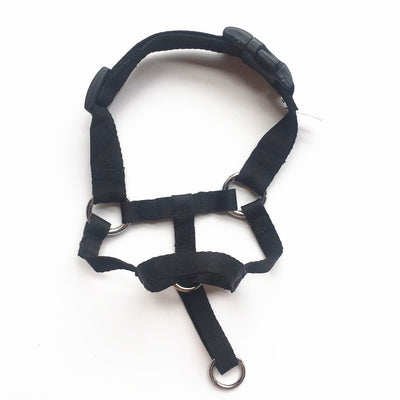 Bozal Ajustable para Perros - Máscara Transpirable Antimodidas y Anticomida - Image 2
