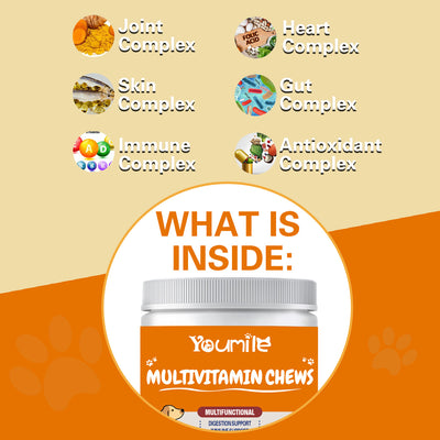 Youmile Multivitamin Chews for dogs, a white jar with an orange label, offering multifunctional health support for joints, skin, immunity, heart, gut, and antio - Image 3