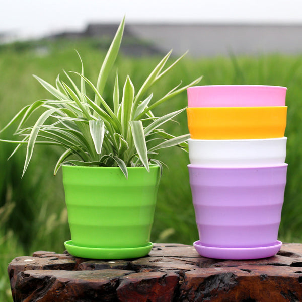 Maceta de Resina para Suculentas con Patrón Horizontal Decorativo