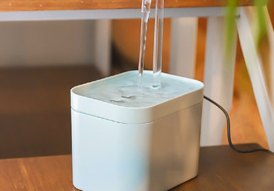 Fuente de Agua Automática para Gatos con Filtro USB Silenciosa 1.5L - Image 24
