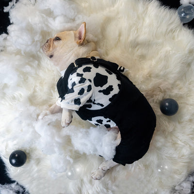 Conjunto de Ropa Térmica para Perros - Abrigo de Dos Piezas Otoño e Invierno - Image 3