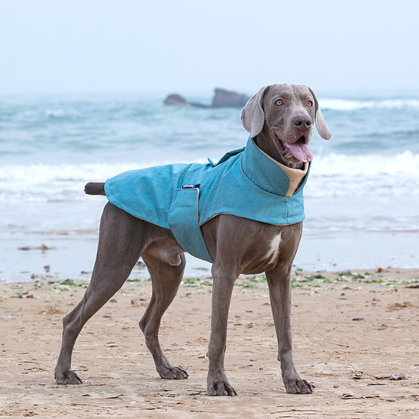 Chaleco Térmico para Perros Medianos y Grandes - Resistente al Agua y Lavable