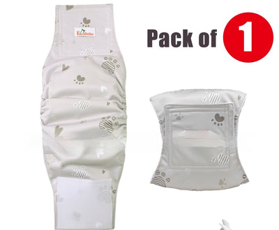 Pañales Fisiológicos Lavables para Perros - Image 7