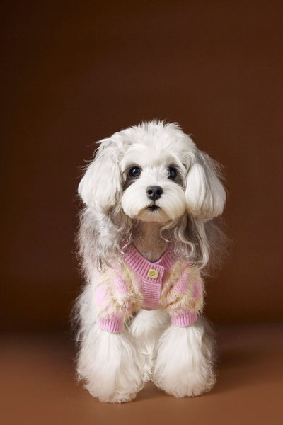 Suéter Cardigan Adorable para Perros Schnauzer y Bichón - Image 24