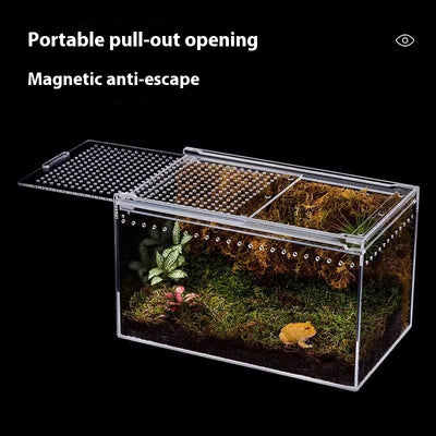 Caja de Alimentación para Reptiles con Alta Permeabilidad Acrílica - Image 4