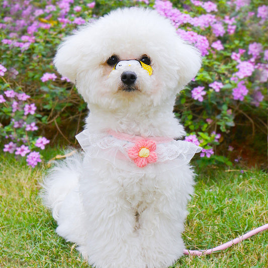 Chaleco de Paseo con Correa para Perros Pequeños