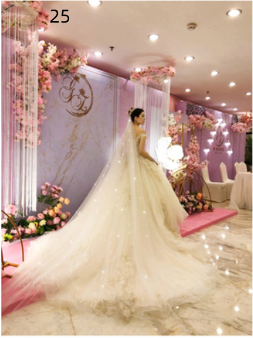 Vestido de Novia Lujo con Cola Larga y Velo de Hada Mágica - Image 27