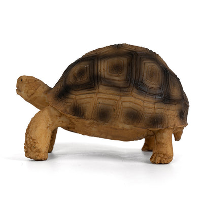 Adorno de Resina para Tortugas Brasileñas - Hábitat Acuático Realista - Image 4