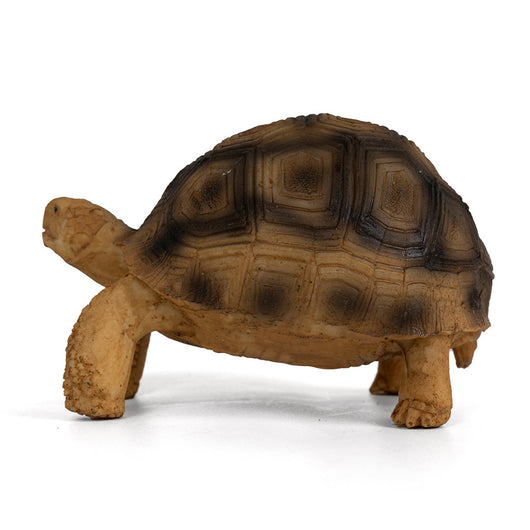 Adorno de Resina para Tortugas Brasileñas - Hábitat Acuático Realista - Image 4