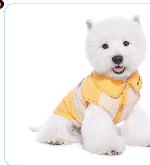 Ropa para Perros Pequeños - Abrigos y Suéteres para Bichón, Yorkshire y Schnauzer - Image 8