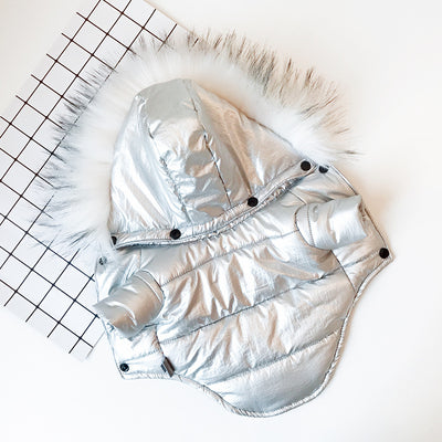 Ropa Térmica para Perros - Image 6