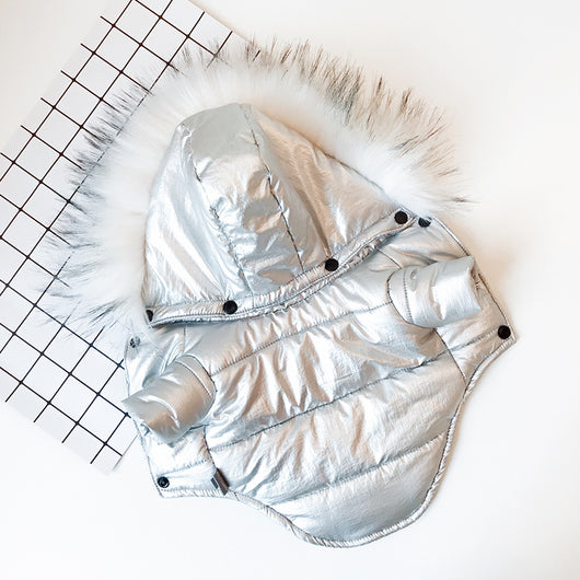 Ropa Térmica para Perros - Image 6