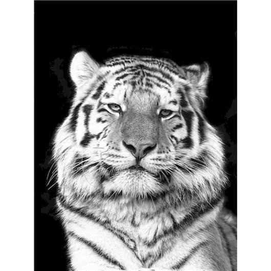 Pintura por Números Tigre Blanco - Image 3