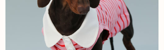 Chaleco sin Mangas para Perro Pequeño Rayas Rojo - Image 11