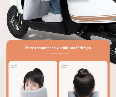 Protector de Parabrisas para Auto Eléctrico - Forro Térmico Impermeable Invierno - Image 41