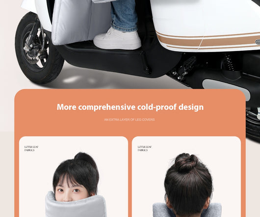 Protector de Parabrisas para Auto Eléctrico - Forro Térmico Impermeable Invierno - Image 41