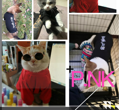 Ropa Personalizada para Mascotas con Patrón de Texto - Image 7