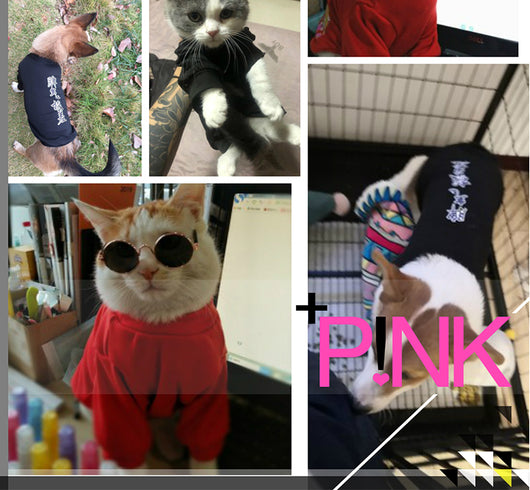 Ropa Personalizada para Mascotas con Patrón de Texto - Image 7