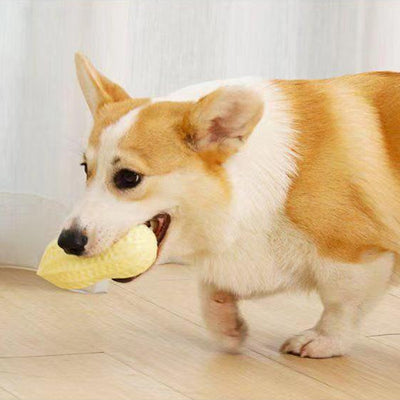 Juguete Masticable para Perros y Gatos con Sonido de Cacahuete - Image 3