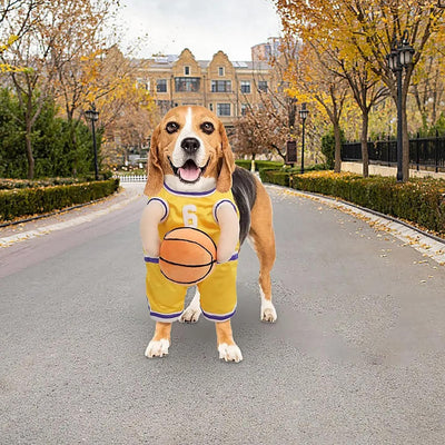 Disfraz de Jugador de Baloncesto para Perros - Outfit Deportivo Divertido - Image 15