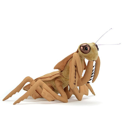 Peluche Mantis de Hoja - Colección Insectos - Image 4