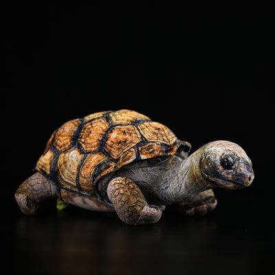 Peluche Realista de Tortuga Galápagos - Juguete Educativo y Adorable - Image 8