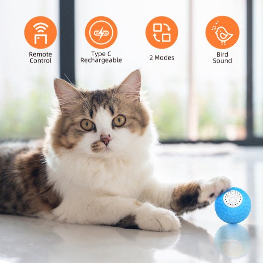 Juguete Interactivo Inteligente para Gatos con Control Remoto y Sonido - Image 5