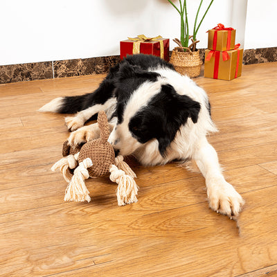Juguete Interactivo para Perros con Sonido y Papel Crujiente - Resistente a Mordidas - Image 9