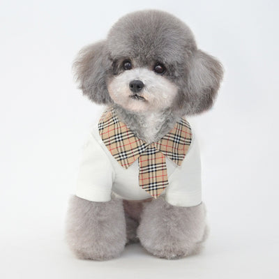 Ropa Fresca para Perros Pequeños - Diseño Ligero para Verano