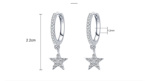 Aretes de Plata 925 con Circonitas Micro-incrustadas en Forma de Estrella - Image 7