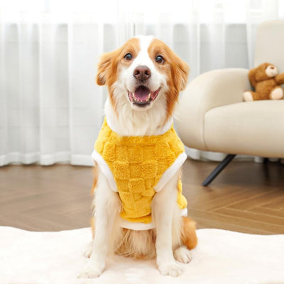 Ropa de Algodón para Mascotas - Colección Otoño Invierno - Image 18