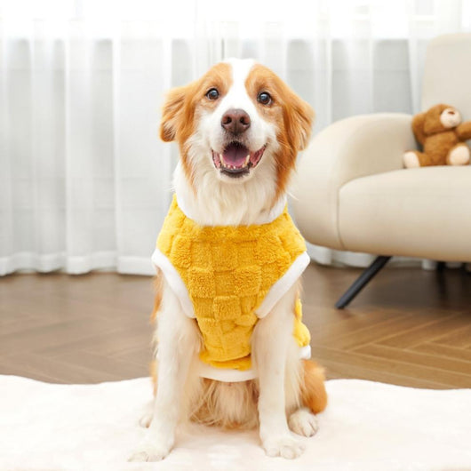 Ropa de Algodón para Mascotas - Colección Otoño Invierno - Image 18