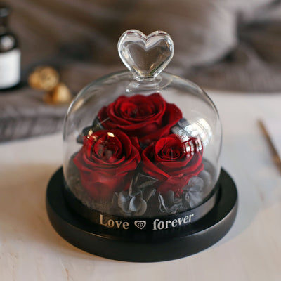 Caja de Regalo Rosa Eterna con Tapa de Cristal - Flor Inmortal para Día de Amor - Image 29