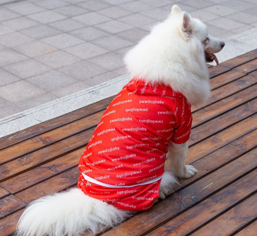 Ropa para Perros Grandes - Colección Año Completo Talla Mediana-Grande - Image 17