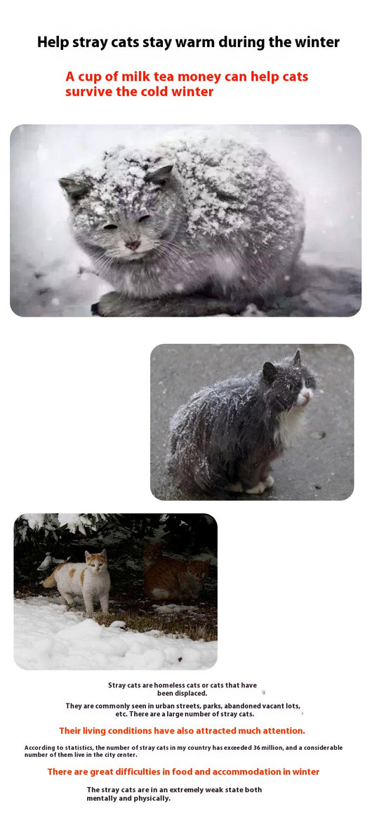 Casa Térmica Impermeable para Gatos Callejeros - Refugio de Invierno - Image 17