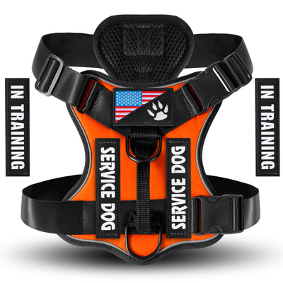Arnés Pectoral para Perro con Correa de Control - Image 14