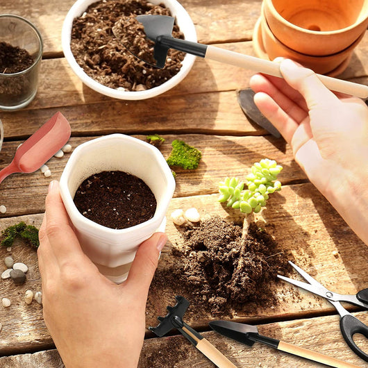 Kit Completo de Cuidado para Plantas: Pulverizador, Regadera y Herramientas de Jardinería - Image 6