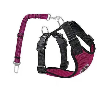Cuerda Reflectante y Transpirable para Perros - Image 16