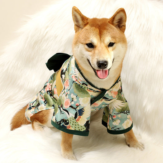 Traje Tradicional Kimono para Perros Shiba Inu y Gatos - Ropa Asiática Tang para Mascotas Pequeñas y Medianas - Image 7