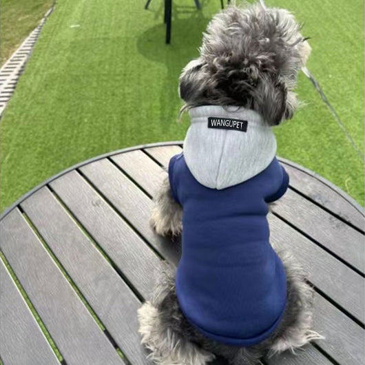 Suéter Reflectante Ajustado para Perros y Gatos - Diseño Azul y Blanco - Image 9