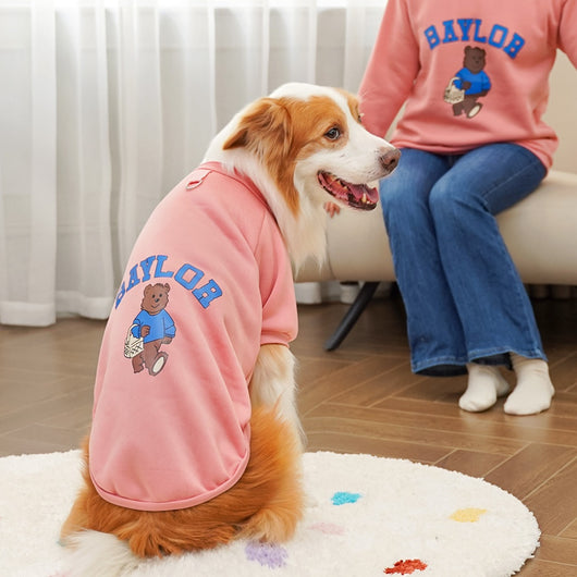 Large dog wearing a teal fleece-lined sweatshirt with 'BAYLOR' text and a bear graphic on the back. - Image 7