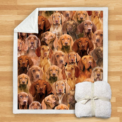 Manta de Franela Estampada para Perros de Diseño Moderno - Image 73