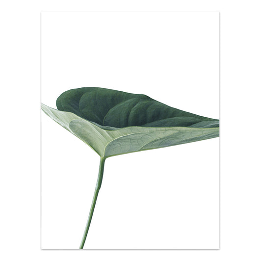 Póster de Plantas Tropicales Estilo Nórdico - Lámina de Hojas Verdes - Image 23